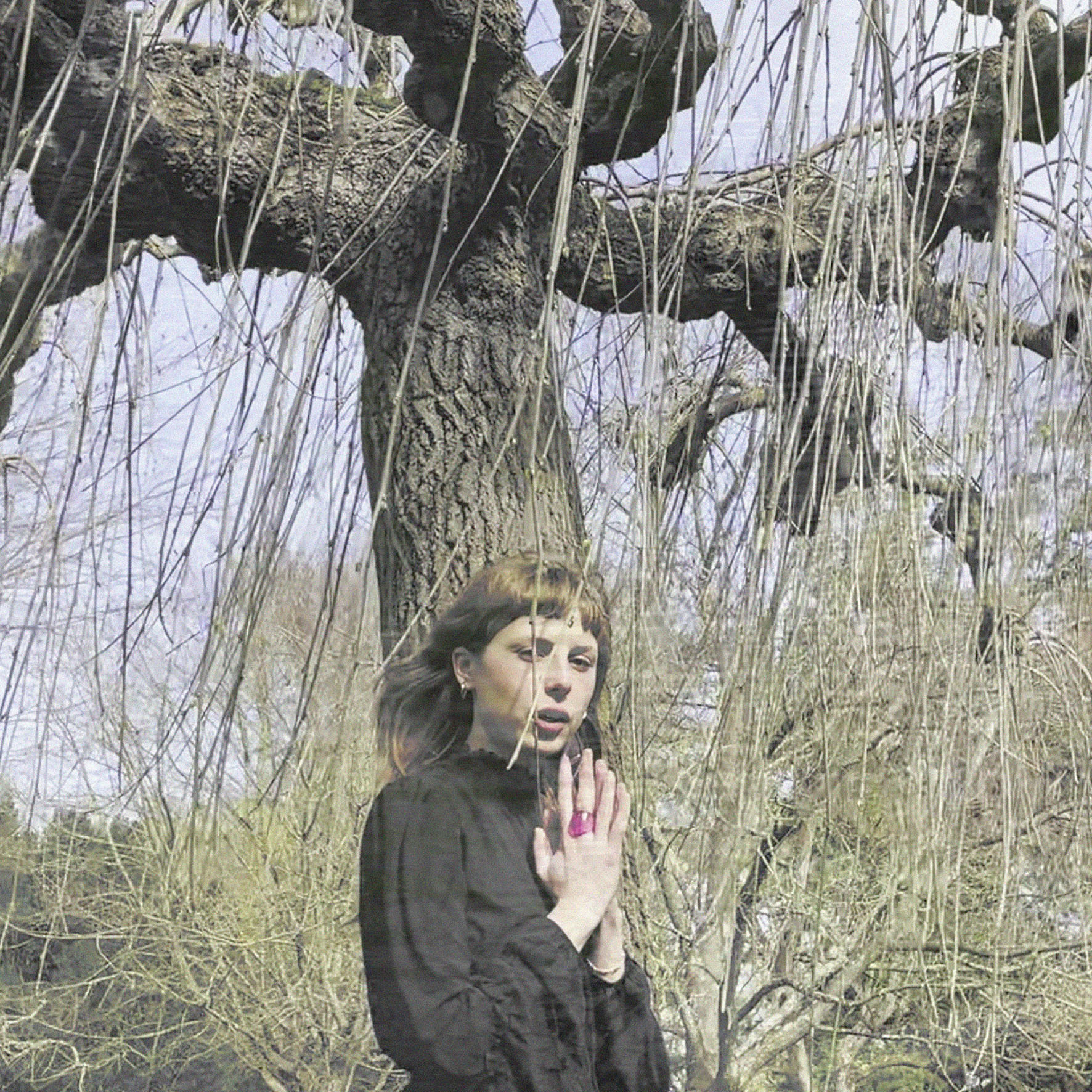 Imagen destacada de noticia: COUR DE RÉCRÉ "À L’ombre D’une Jeune Fille En Pierre" Single Digital